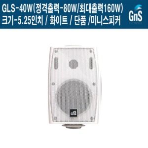 GLS-40W-지앤에스 안경점 안과 강연장 패션스피커