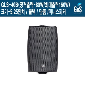 GLS-40B 학원 강의실 옷가게 지앤에스 벽부형스피커