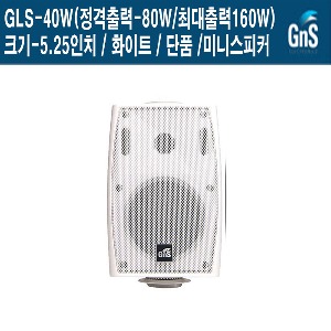 GLS-40W 피어싱샵 의류매장 지앤에스 벽부형스피커