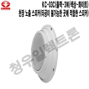KC-03C-W-삼미 카페 음식점 인테리어 천장노출스피커